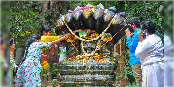 ভারতে আজকের উৎসব নাগ পঞ্চমী : শ্রাবণ মাসের উজ্জ্বল পঞ্চমী তিথিতে নাগ দেবতার পূজা