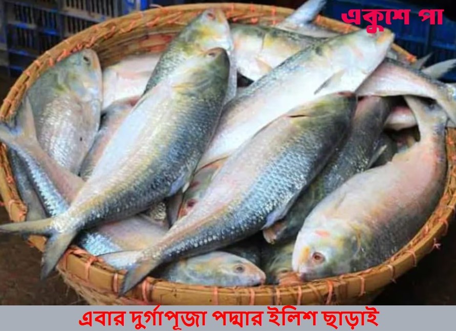 দুর্গাপুজোয় ভারতে ইলিশের আমদানি হবে না, স্পষ্ট জানালেন বাংলাদেশের ফরিদা আখতার