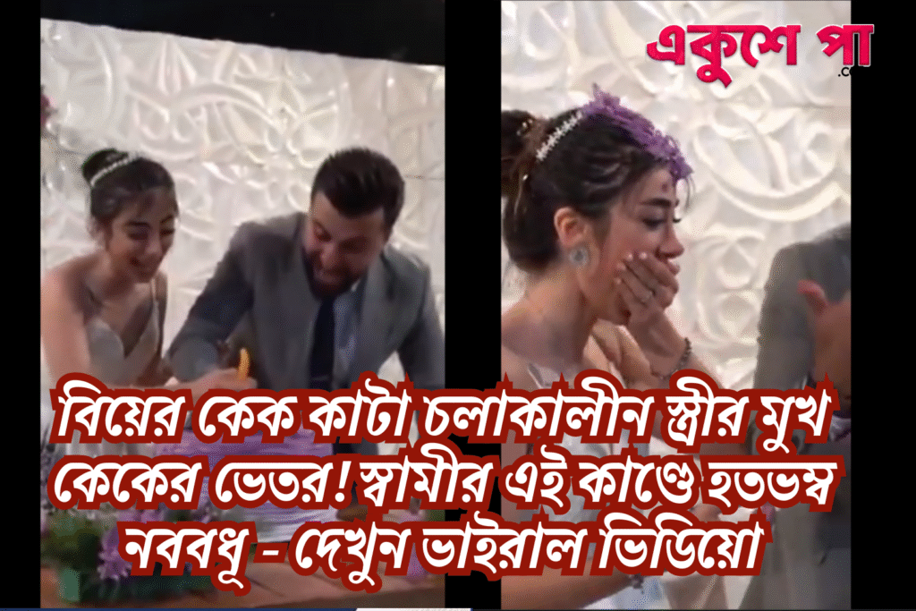 বিয়ের আনন্দে বাড়াবাড়ি! কেক কাটার পর নববধূর মুখ কেকের ভেতর চেপে ধরলেন বর, তারপর যা ঘটল…