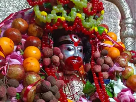ফলহারিণী অমাবস্যা ২০২৫: দেবী কালিকার আরাধনার শুভ তিথি, ফলদাতা ও কর্মফল নাশিনী মাতৃরূপের মাহাত্ম্য