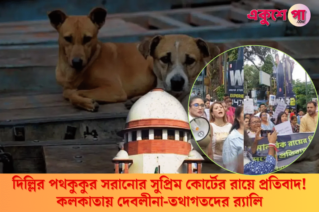 দিল্লির পথকুকুর নিয়ে সুপ্রিম কোর্টের রায়ের বিরোধিতা! কলকাতার রাস্তায় দেবলীনা-তথাগতদের র্যালি