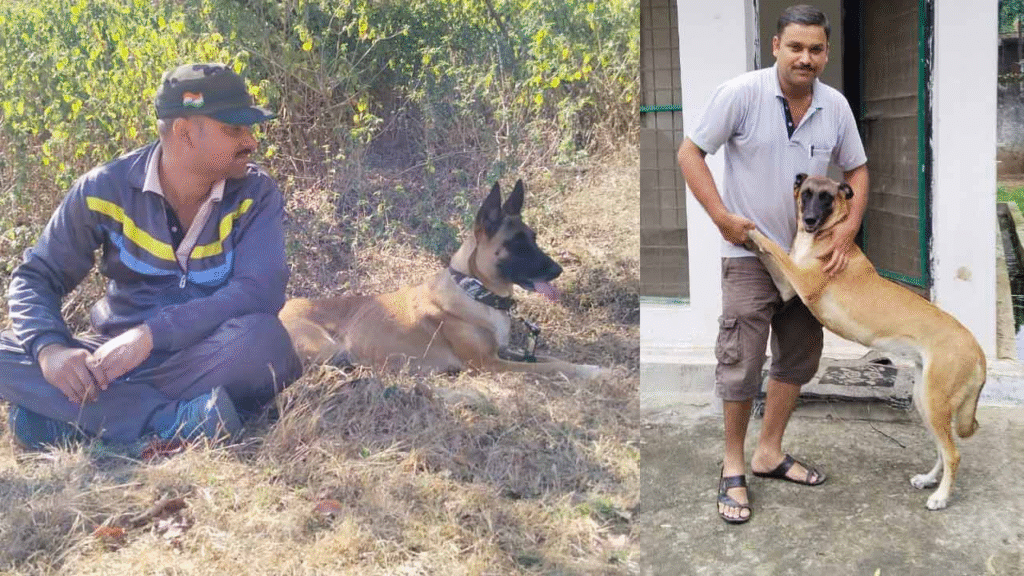 বান্ধবগড়ের বীর কুকুর ‘জিনি’: 248 অপরাধী গ্রেপ্তার, 66 বড় মামলা সমাধান, বাঘ-চিতাবাঘ রক্ষার নায়ক