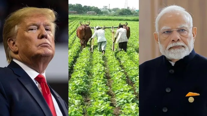 India US Trade Deal: আমেরিকার চাপে নতিস্বীকার নয় ভারত! কৃষকের স্বার্থে দৃঢ় অবস্থানে প্রধানমন্ত্রী মোদি