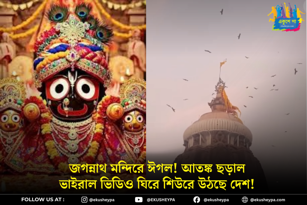 Puri Jagannath Temple Viral Video: ছ্যাঁৎ করে উঠছে বুক! পুরীর জগন্নাথ মন্দিরে অশনি সঙ্কেত? ভাইরাল ভিডিও ঘিরে তীব্র জল্পনা