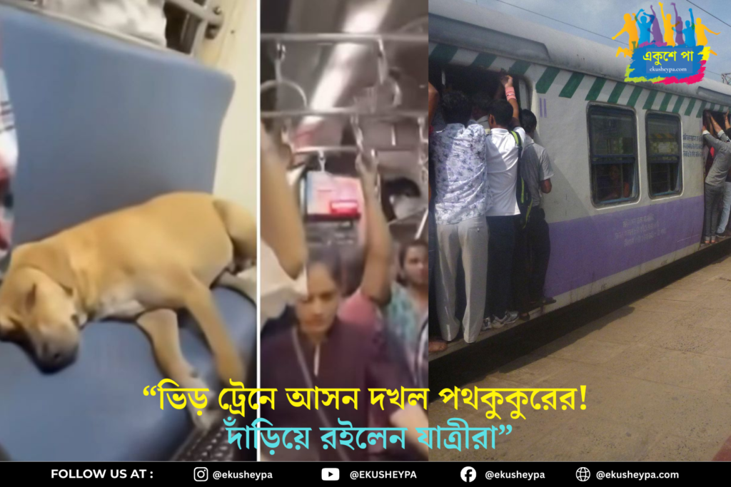 ভিড় ট্রেনে আসন দখল করে আরামে ঘুম পথকুকুরের, বিরক্ত না করে দাঁড়িয়ে রইলেন যাত্রীরা — ভাইরাল ভিডিয়ো